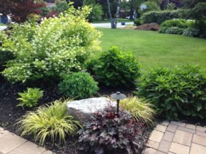 The Gardener Landscaping photo 3