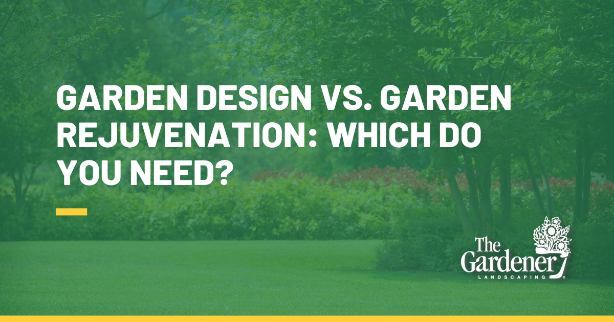 Garden Design vs. Garden Rejuvenation: Which Do You Need?