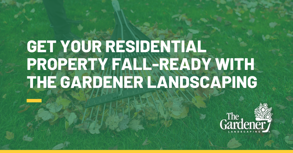 Get Your Residential Property Ready For Fall Header